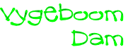 Vygeboom
Dam